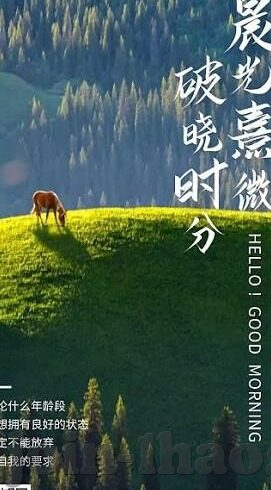 壹号娱乐